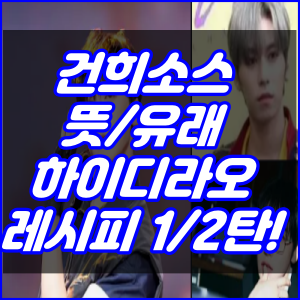 건희소스 뜻과유래 및 1,2탄 레시피 (하이디라오)
