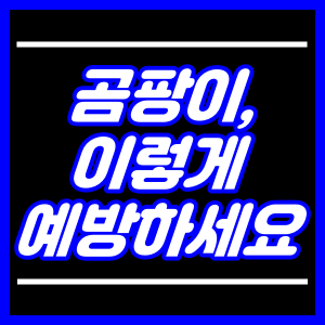 곰팡이 예방방법