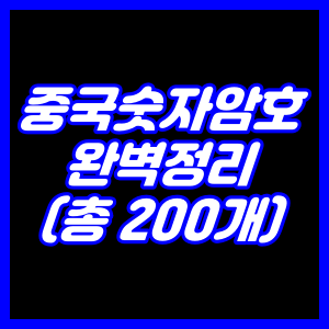 중국숫자암호 총정리(0~9까지 총 200개)