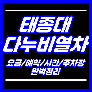 태종대 다누비열차 요금,시간,예약,주차장 완벽정리