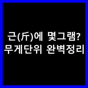 근(斤)에 몇그램 무게단위 완벽정리